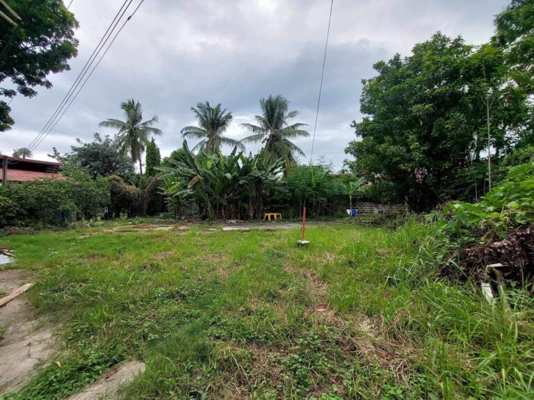 Commercial Lot for Sale with Existing Structure in AS Fortuna Street 10