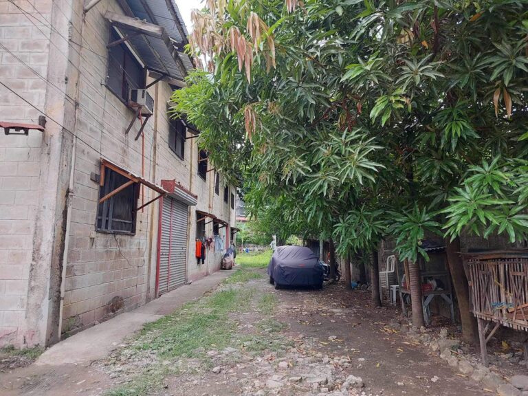 Commercial Lot for Sale with Existing Structure in AS Fortuna Street 11