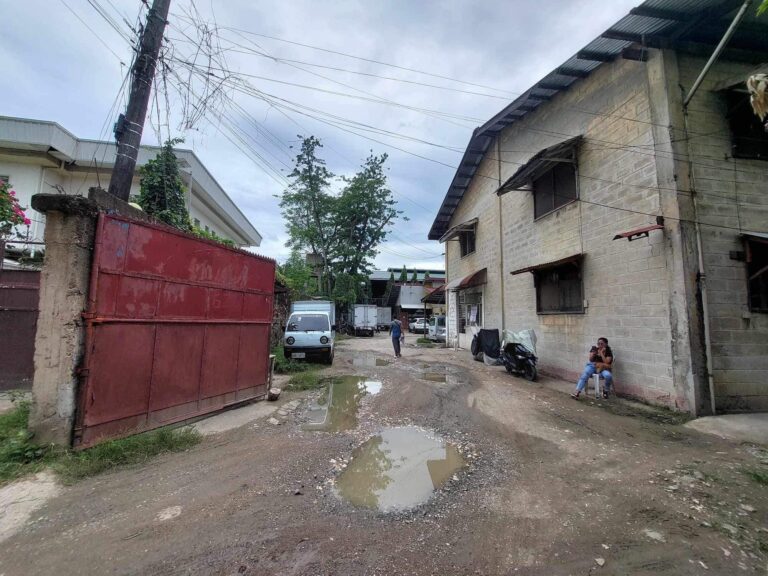 Commercial Lot for Sale with Existing Structure in AS Fortuna Street 3