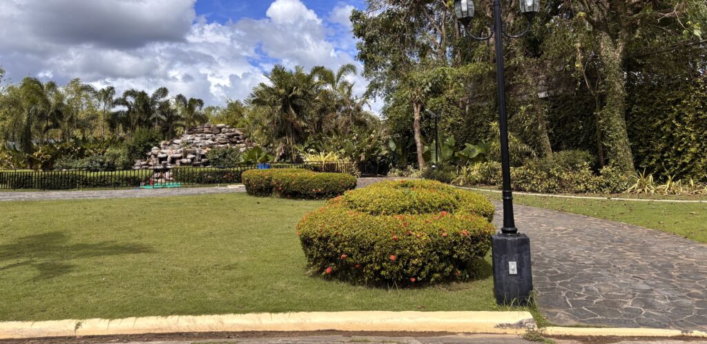 angelicum-fishpond