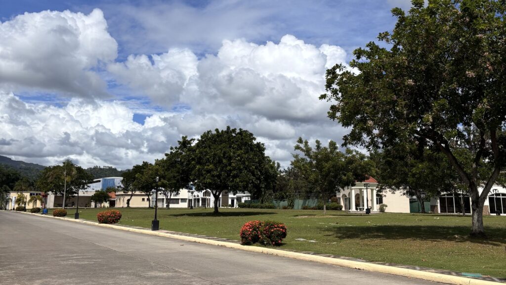 angelicum-memorial-garden