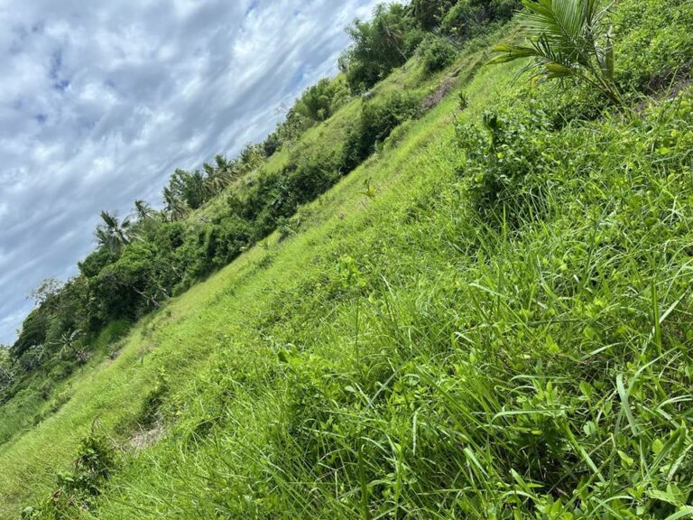 Sloping Terrain Farm Lot Borbon Cebu