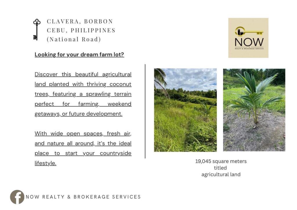 Marketing flyer for the 19,045 sqm titled agricultural land for sale in Clavera, Borbon, Cebu.